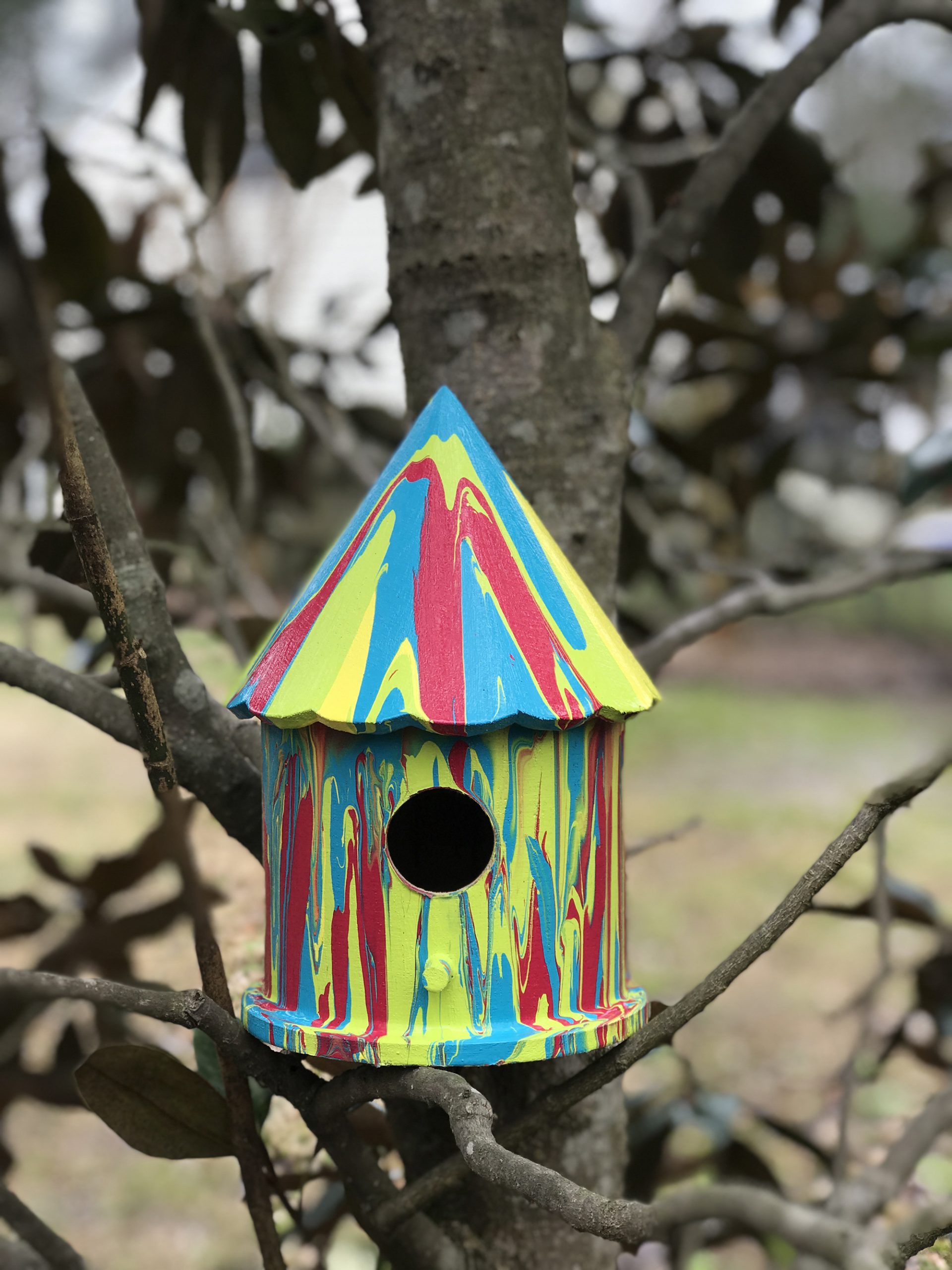 Can You Use Acrylic Paint On Birdhouses? 